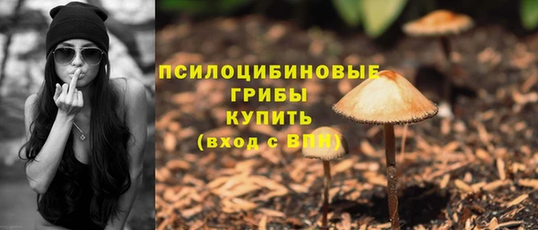 Альфа ПВП Алзамай