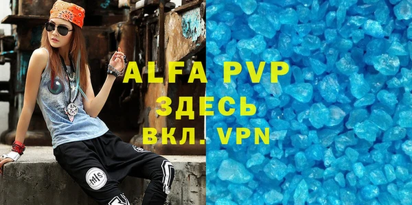 прущие грибы Абаза