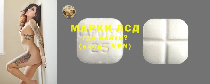 стаф Абинск