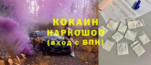 стаф Абинск