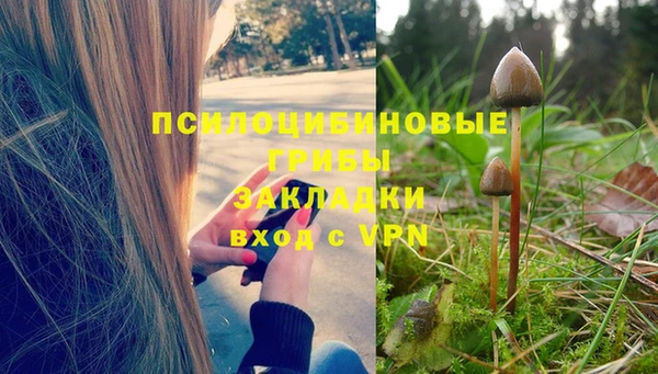 spice Саяногорск