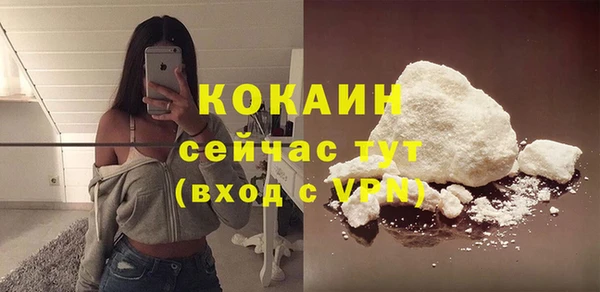 прущие грибы Абаза